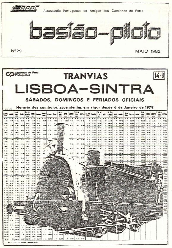 Bastão Piloto 029