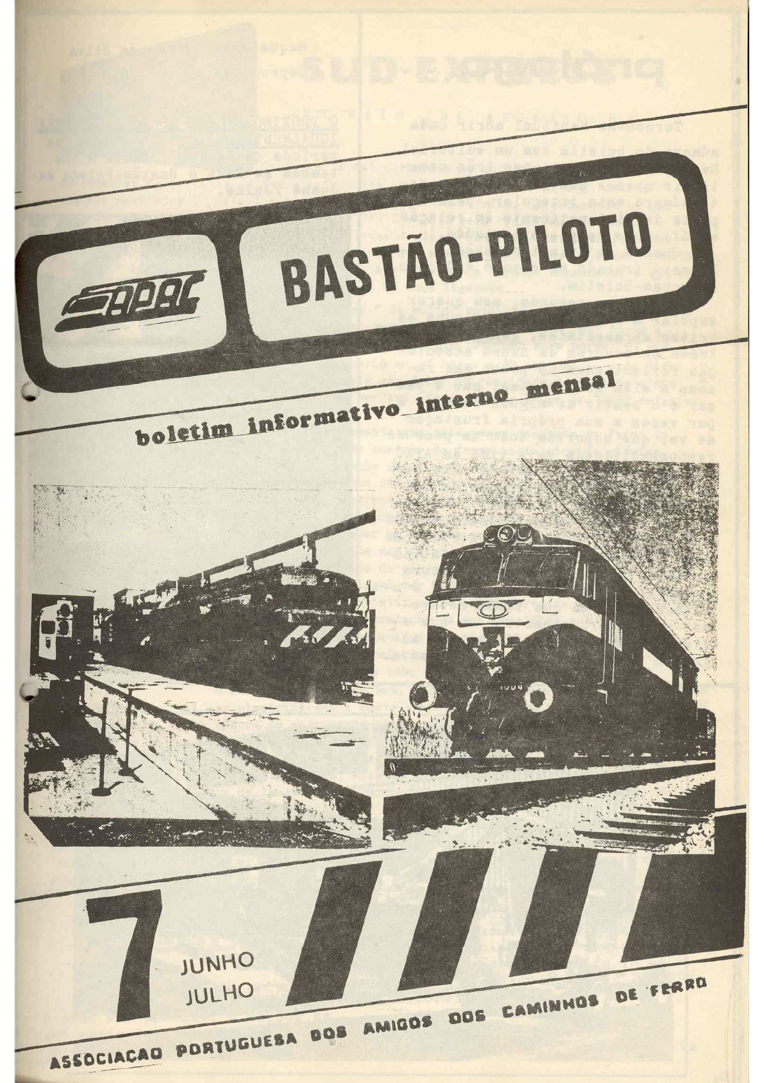 Bastão Piloto 006/007