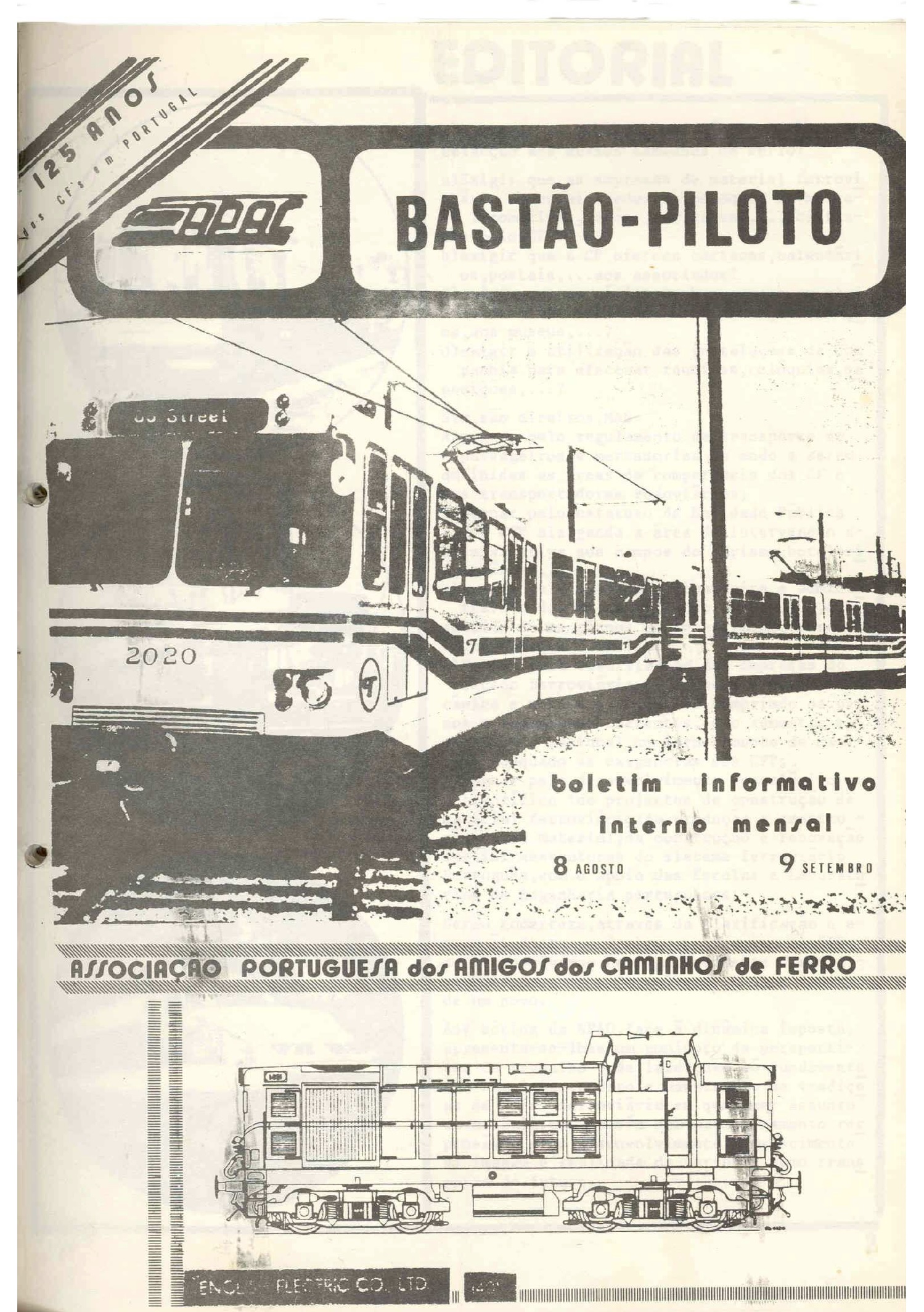 Bastão Piloto 008/009