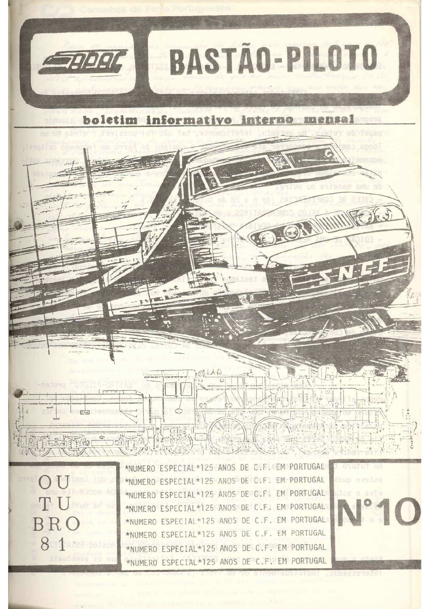 Bastão Piloto 010