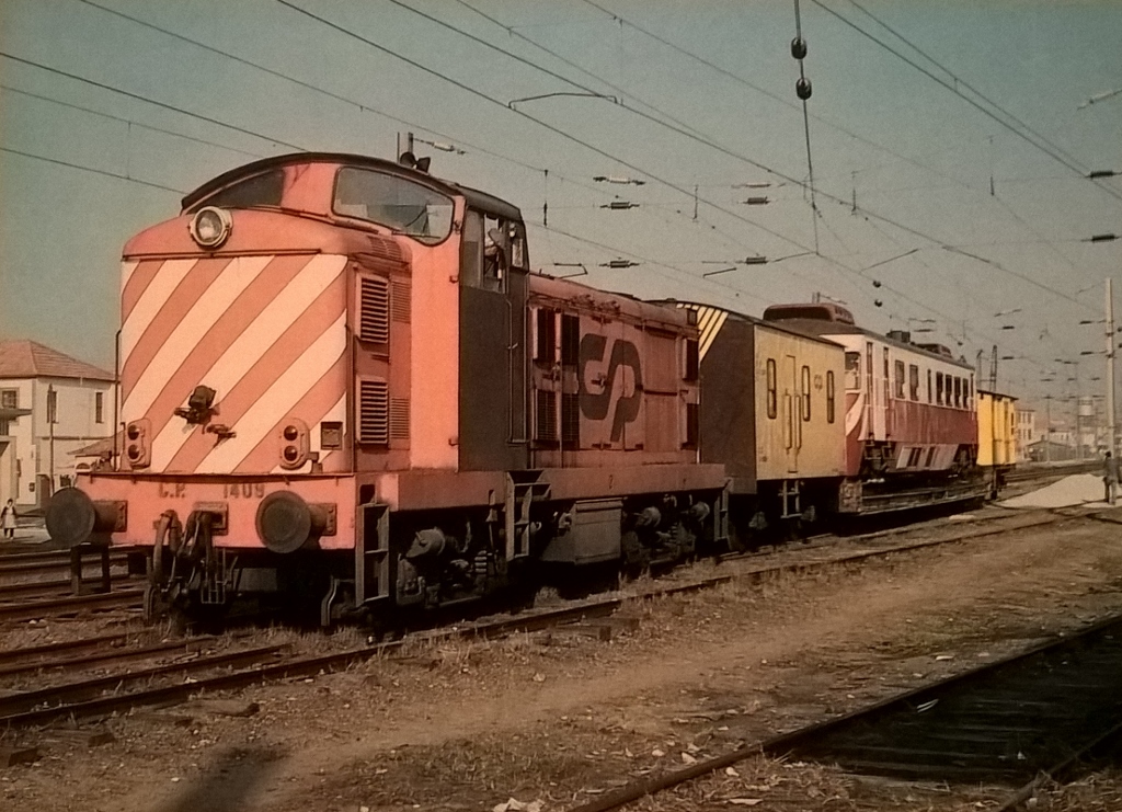 CP 1409 - Zorra VE